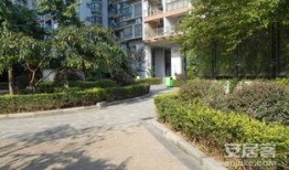 绿洲华府爆料最新消息,揭秘神秘项目背后的真相