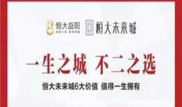 岳阳爆料新闻最新消息,突发事件引发社会关注